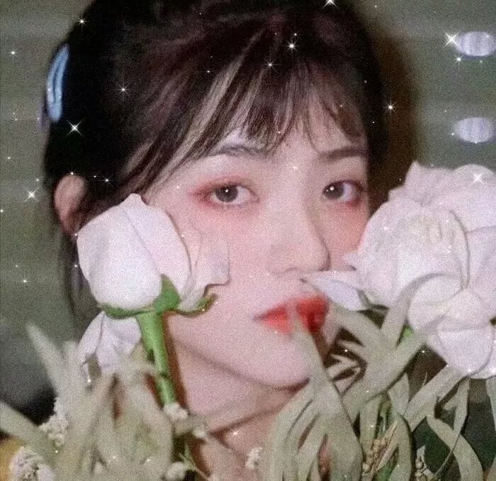 凤囚凰